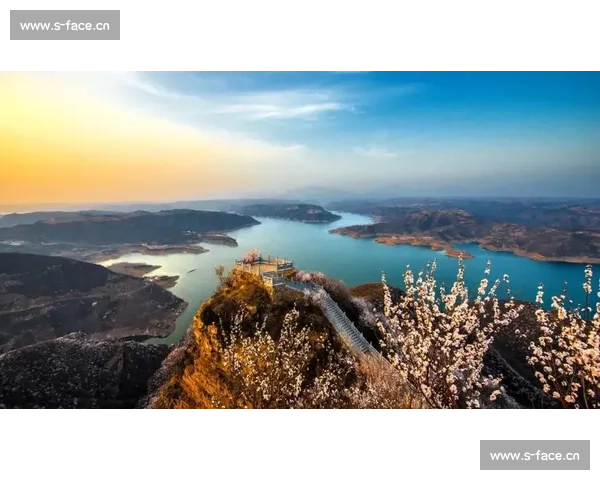 荆花盛开之季探寻千年文化遗韵与现代风貌的交织之美